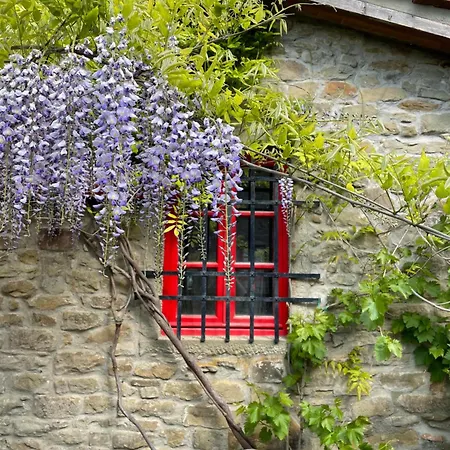 컨트리하우스 Borgo La Capraia Castelfranco di Sopra