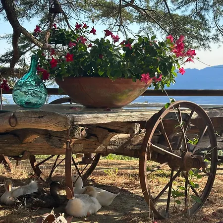 Country house Borgo La Capraia